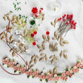 Load image into Gallery viewer, All of the materials needed to make Golden Crown Easter Egg Ornament: pins, flowers, gold leaves, floral trim, and crystal beads. (White).