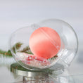Load image into Gallery viewer, Sequin & Beaded Vintage style Ornament Kit in a clear container with a satin ball, and a push pin kit in a small bag on a white background with holiday branch by Whim5seasons. (Coral)

